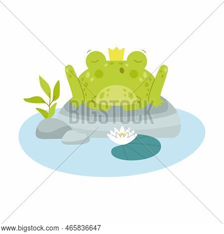 Cute Happy Toad Wearing Crown On Head Sits On Stone In Middle Of Swamp, Flat Vector Illustration. Fu