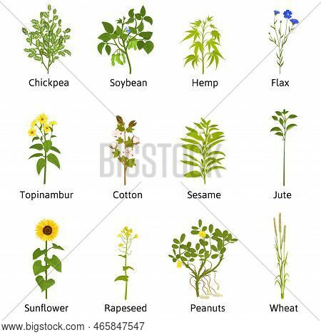 Technical Flowers And Plants Set With Flat Isolated Icons Of Sprouts With Leaves Flowers And Text Ve