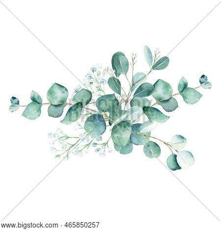 Eucalyptus Watercolor Bouquet. Silver Dollar, True Blue, Seeded And Gypsophila Branches. Hand Drawn 