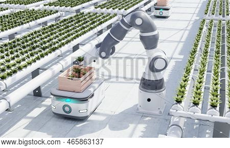 Agv Robot Courier Cars Transporting Hydroponics Vegetable Crates To Stock In Warehouse For Delivery 