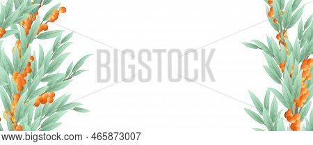 Branches Sea ​​​​buckthorn Of Tree With Ripe Fruits In Form Of Frame On Both Sides. Garden Plant Wit