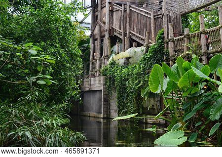 Beautiful Wooden Structure With Bridge In Greenhouse Near Pool