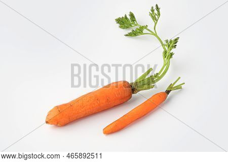 carrot, mini carrot, small carrot, baby carrot isolated on white background