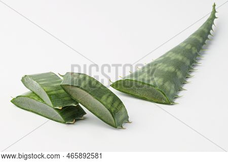aloe, aloe leaves isolated on white background