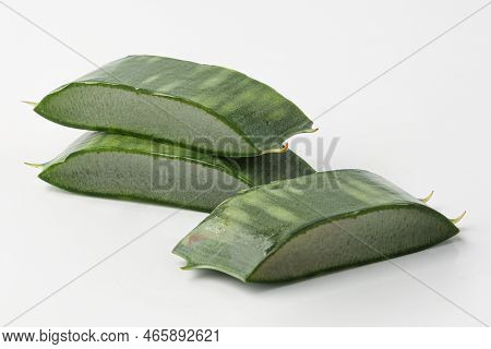 aloe, aloe leaves isolated on white background