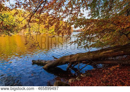View Over The Lake Schmaler Luzin To A Landscape In Autumn Near Feldberg, Germany.