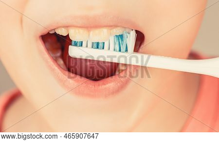 Kid Boy Brushing Teeth. Boy Toothbrush White Toothpaste. Health Care, Dental Hygiene