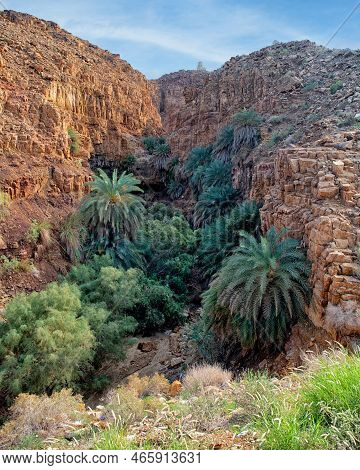 Palm Trees, The Water Quelle, The Jordan Kingdom