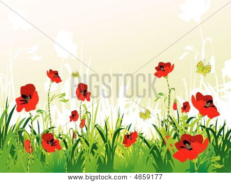 Fondo de amapolas
