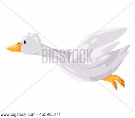 Flying Goose White Swan In Cartoon Vector Illustration