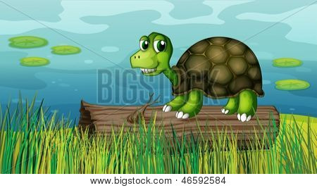 Illustrazione di una tartaruga sopra un legno presso la riva del fiume