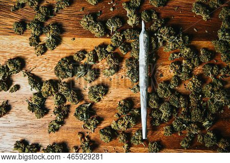 Marijuana Sbd Or Tgc Background. Marijuana Buds, Indica Hemp Cultivation, Cbd Hemp, Cannabis Cultiva
