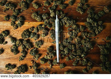 Marijuana Sbd Or Tgc Background. Marijuana Buds, Indica Hemp Cultivation, Cbd Hemp, Cannabis Cultiva