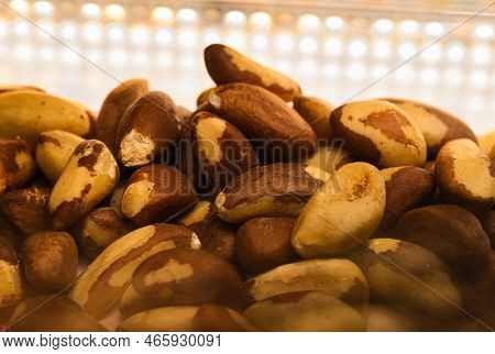 Brazil Nuts Heart Healthy Snake Close Up Shot