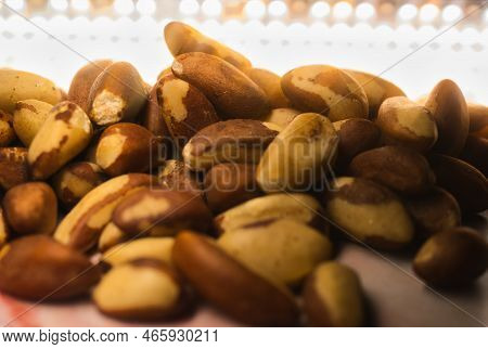 Brazil Nuts Heart Healthy Snake Close Up Shot