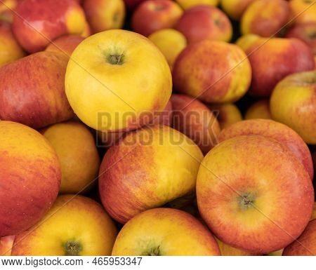 A Hill Of Beautiful Appetizing Red-yellow Apples