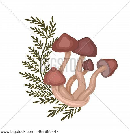 Illustration Of Colorful Cartoon False Mushroom With Fern Stems On White Background. Honey Mushrooms
