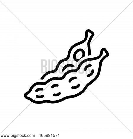 Black Line Icon For Pod Pea Seed Bean Green Legume Siliqua Peapod Nutrition Grain Almond