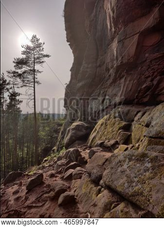 Scenic View Platinated Forest Pfalz Rock Climbing Summer Blue Sky