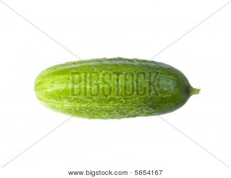 Cucumber Isolated