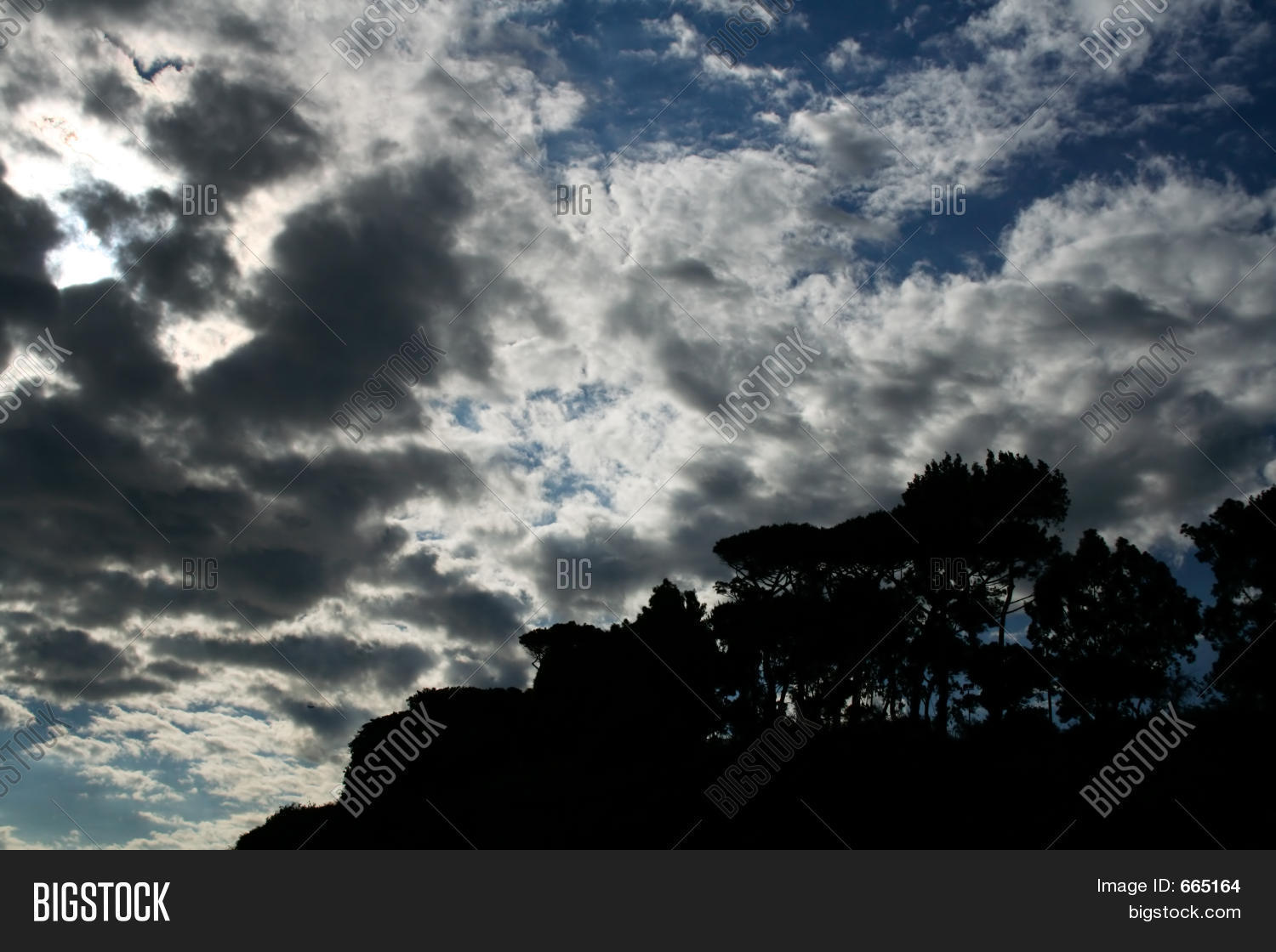 Image Preview