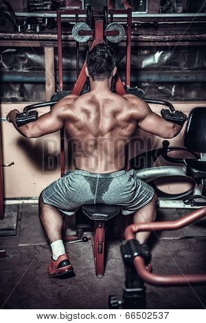body builder doing heavy weight exercise for back 