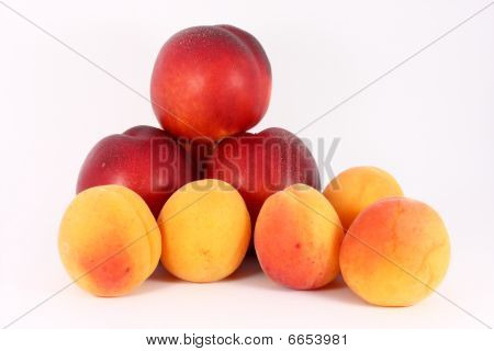 Apricots And Nectarines