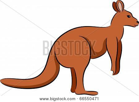 Kangaroo