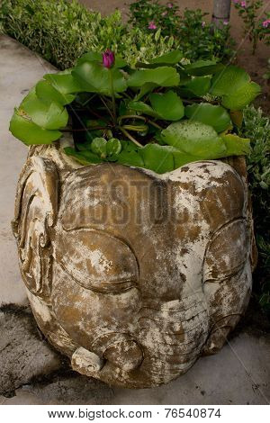 planter in elephant planter
