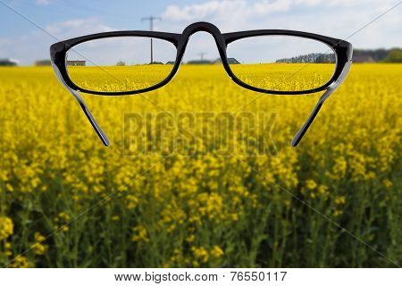 Looking Through