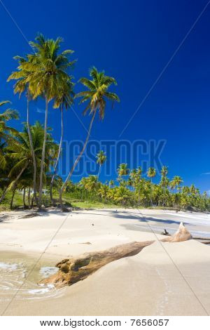 Cumana Bay, Trinidad