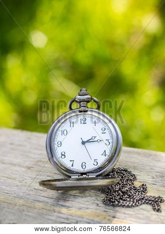 Pocket Watch