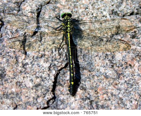 Úplné zobrazení vážek