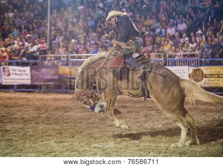 Helldorado Days Rodeo