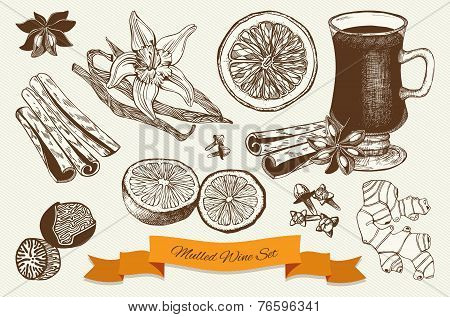 mulled wine and spices illustrations.