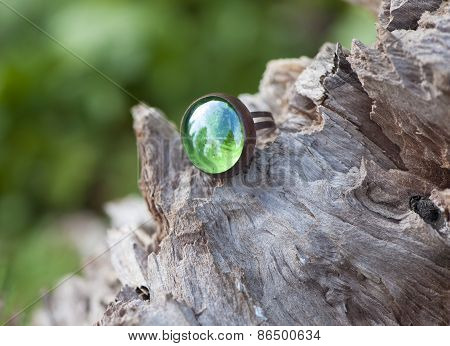 Colorful Of Ring