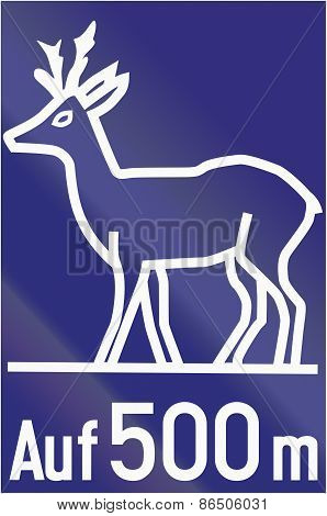 Animals Crossing Deer
