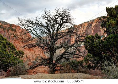 Sunset in Kolob -  Zion National park