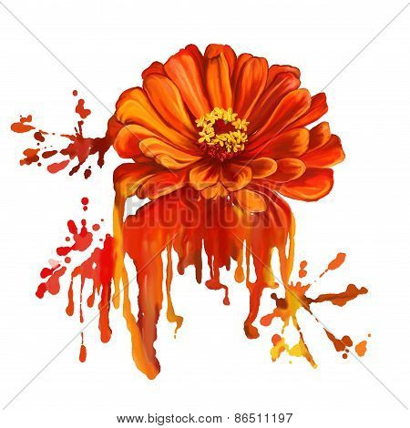 flower tsiniya vector illustration  hand drawn  painted watercolor