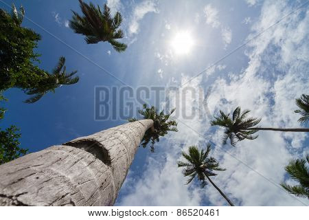Koh Talu is a private island in the Gulf of Thailand