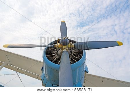 The Engine And Propeller Plane An2.