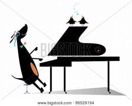 Dog a pianist