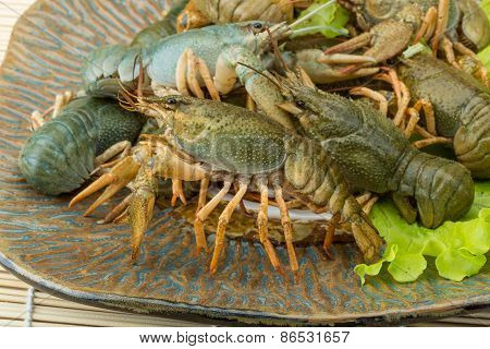 Raw Crayfish
