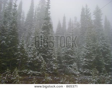 Rocky Mountain våren snö