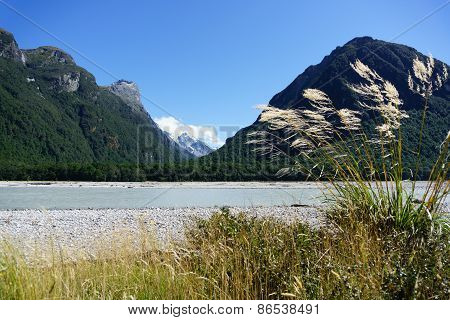 Toi toi in breeze in Southern Alps landscape