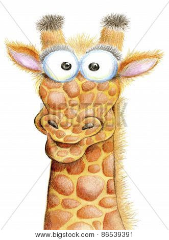 Portrait of a cute bug-eyed giraffe on a white background.