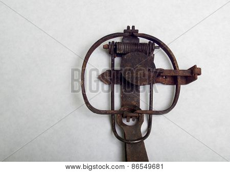 Vintage Stop Loss Leghold Animal Trap