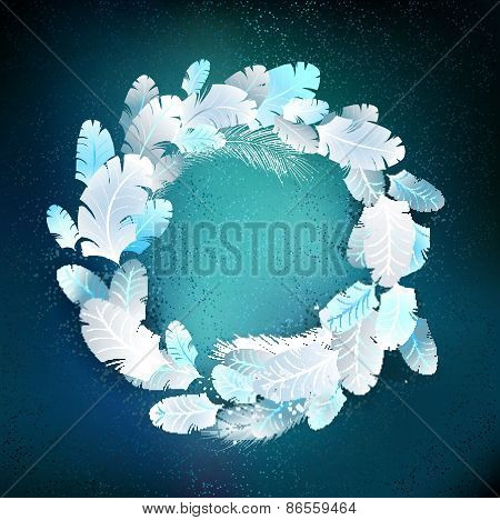 circle of white feathers