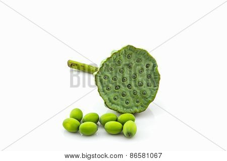 Calyx, Lotus Seeds Green.