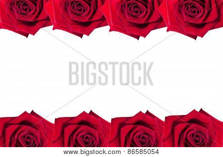 Horizontal frame of red roses on white background